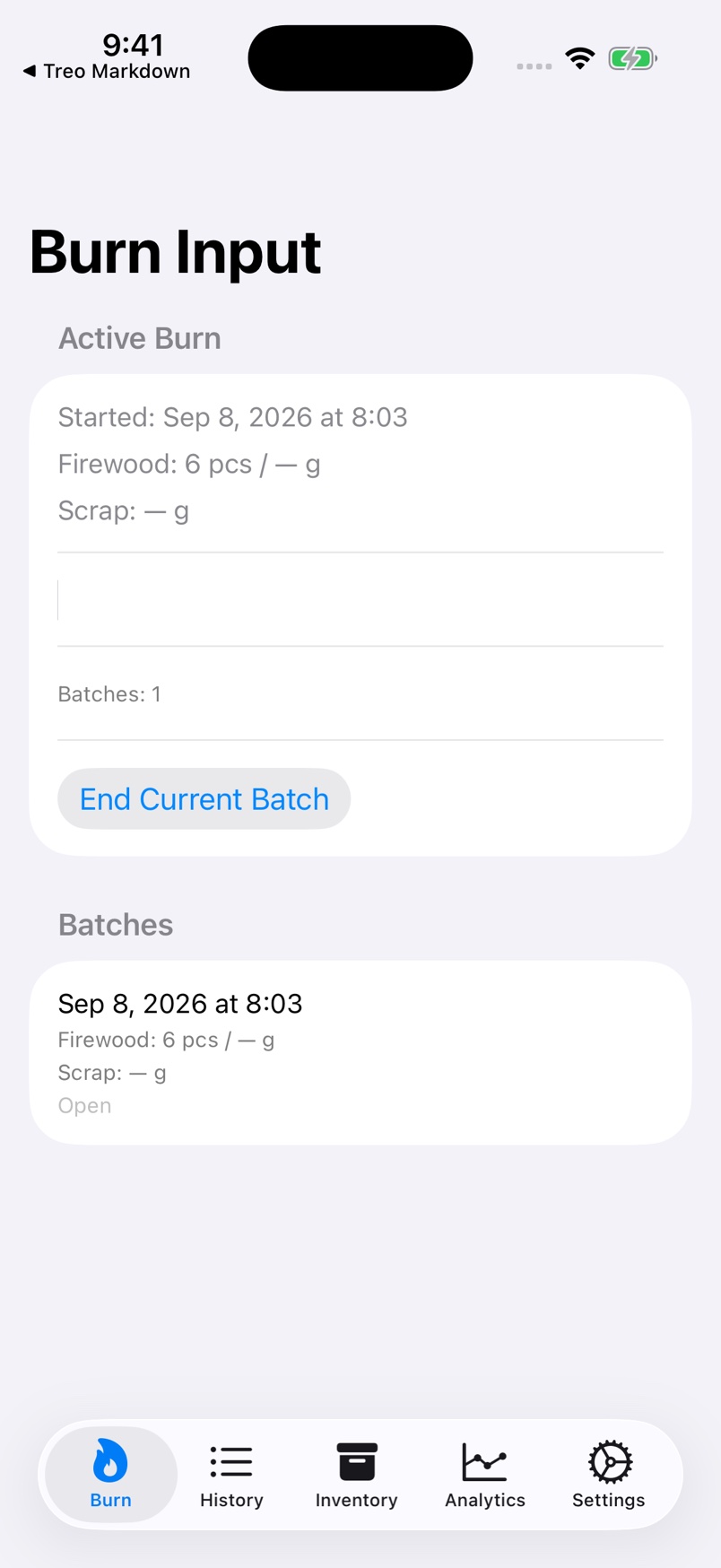 Review the active burn and its batches.